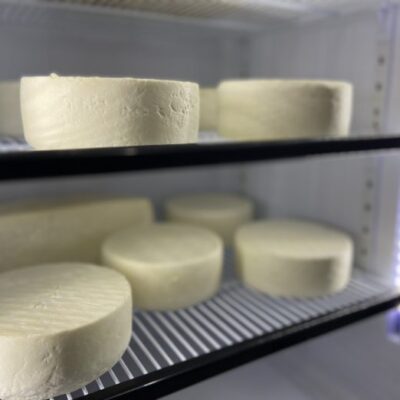 Queso de cabra de Ovalle